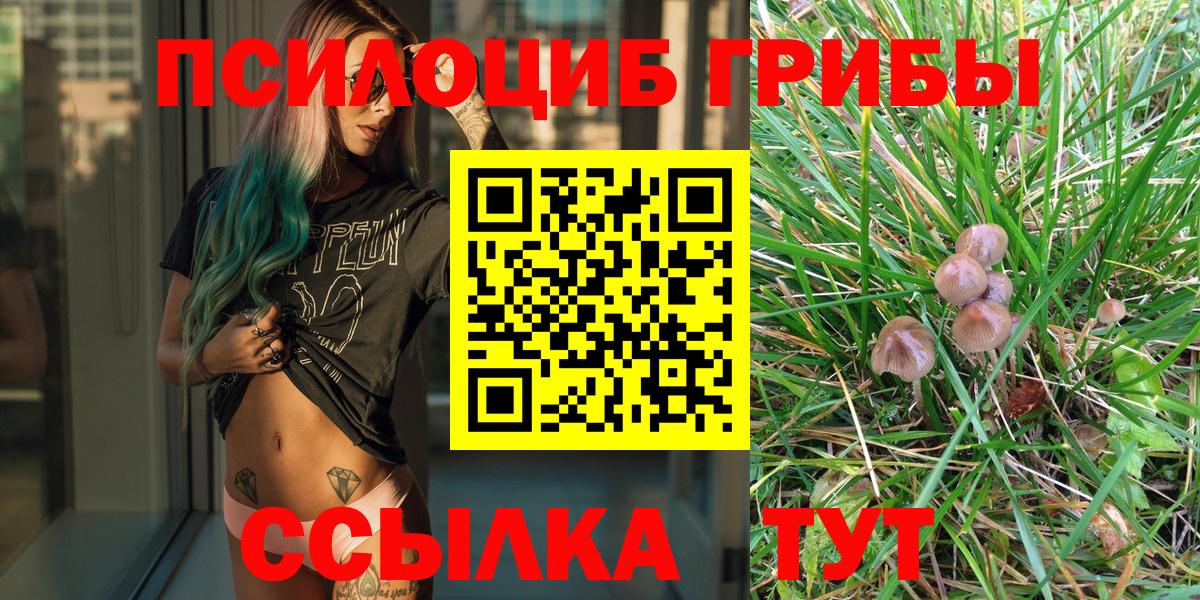 Галлюциногенные грибы GOLDEN TEACHER  Вход с VPN  Ревда 